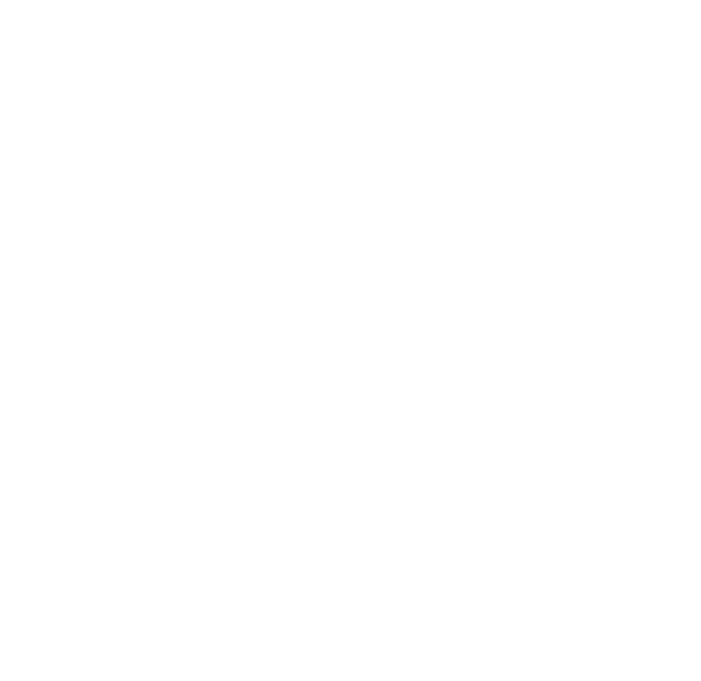 Geometric octopus logo